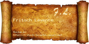 Fritsch Levente névjegykártya
